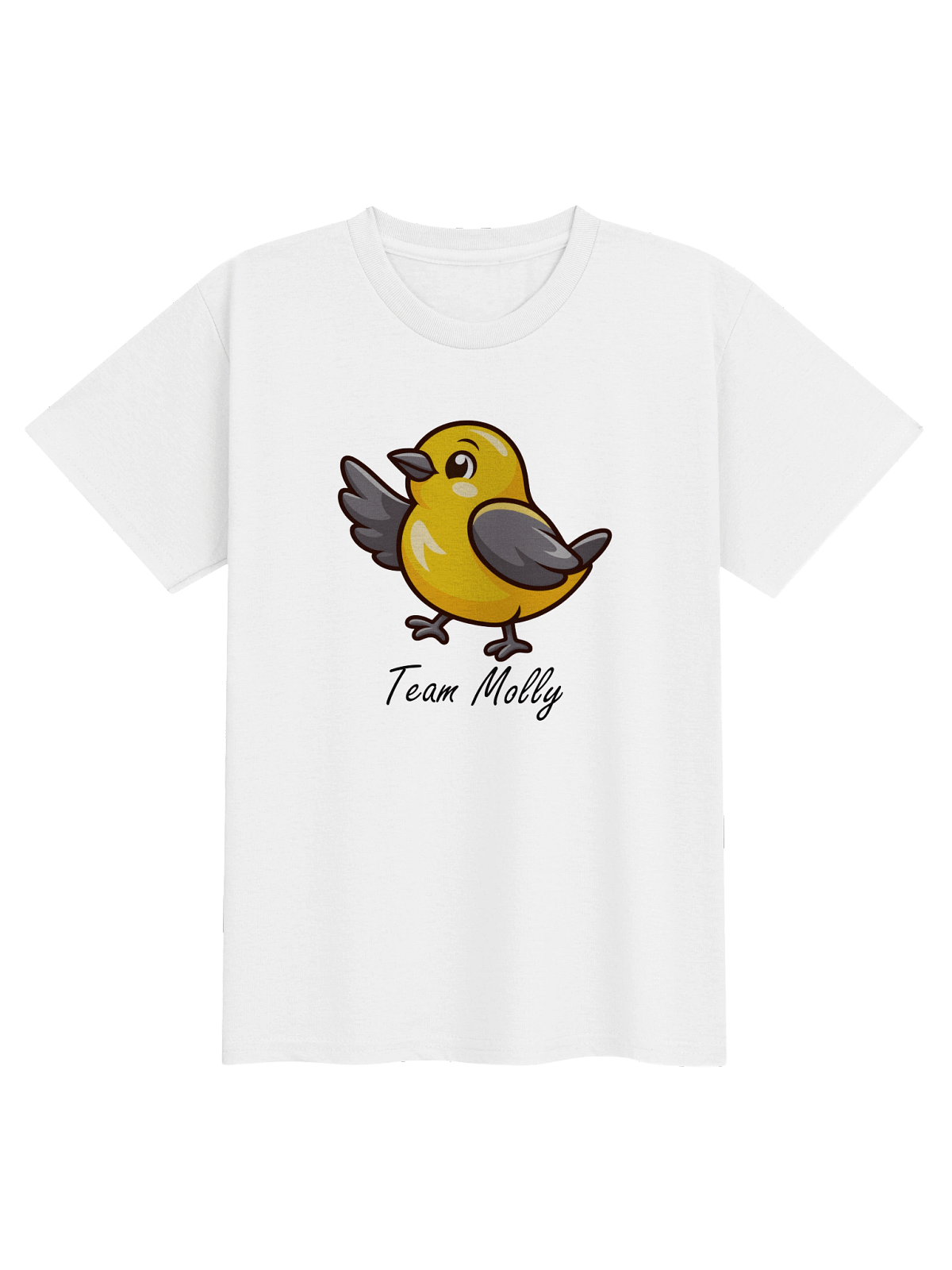 Basic shirt 1 product preview from the Team Molly shop